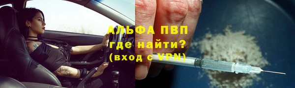 прущие грибы Михайловка