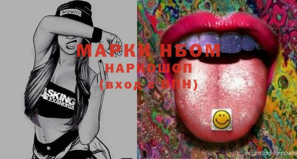 прущие грибы Михайловка