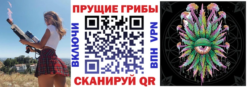 Купить Нальчик Галлюциногенные грибы MAGIC MUSHROOMS